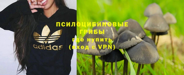 MESCALINE Арсеньев